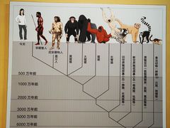 -柳州白莲洞洞穴科学博物馆