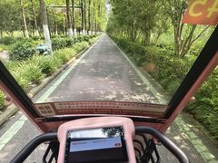 -合肥滨湖国家森林公园