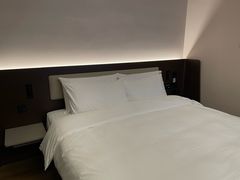 -汉庭(合肥火车南站北广场店)