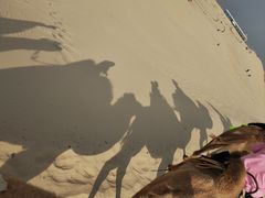 -库伦旗银沙湾旅游景区