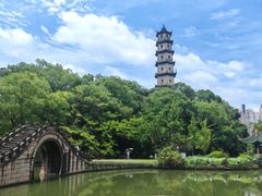 -江心屿景区