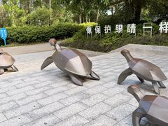-广东惠东海龟国家级自然保护区