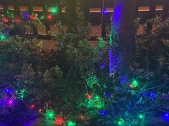 -凤凰山海港乐园