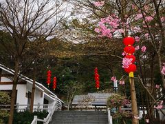-广州市帽峰山景区