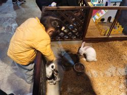 -酷嗒动物文化乐园(cutezoo西溪乐天城店)