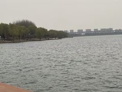 -丁香湖公园