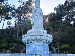 -海东龙宫寺