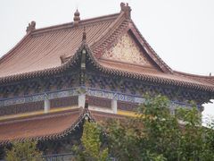 -冶父山国家森林公园