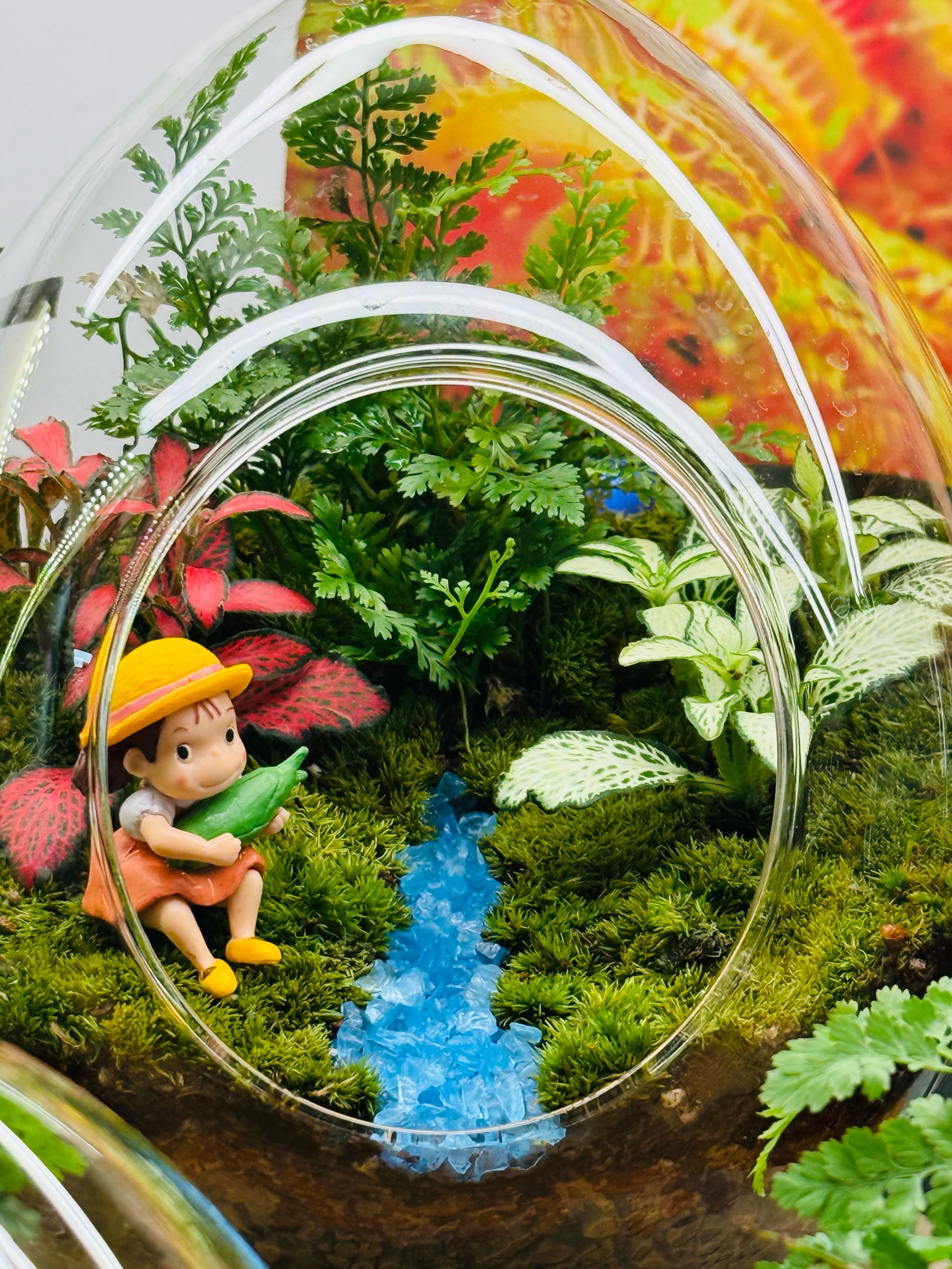 diy手工植物微景观越来越抽象现实具像化了❗️