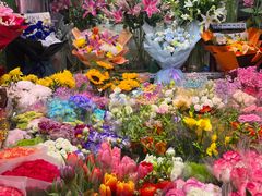 -朝来春花卉市场