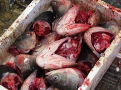 -嘉荟市场(北新泾店)