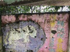 -成都爱之家动物救助中心