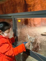 -酷嗒动物文化乐园(cutezoo西溪乐天城店)