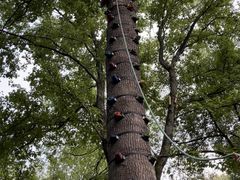 -WeLope紫金山探险公园