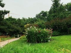 -玲珑塔公园