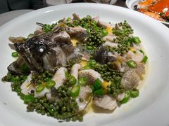 青青椒麻龙胆鱼-CHIC1699远洋私厨