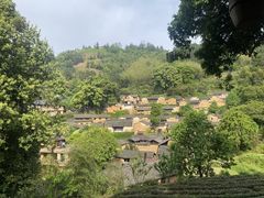 -杨家堂村