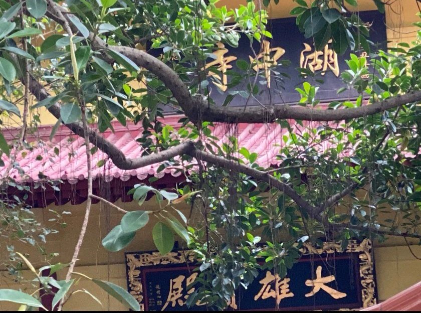 海口佛教之湖中寺