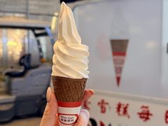 -富豪雪糕车流动点(尖沙咀)