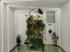 -开间茶馆·围炉煮茶