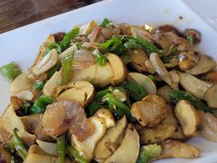 -马帮菜馆·美味野生菌