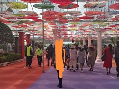 -广东花都香草世界旅游度假区