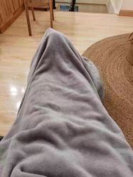 -茉秀必瘦站