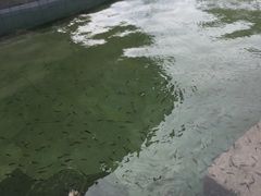 -苏州湾王焰温泉度假酒店