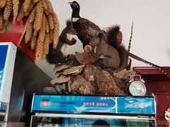 -老村长农家院