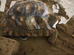 -萌宠奇缘(荣鼎店)