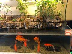 -马凯餐厅(长椿街店)