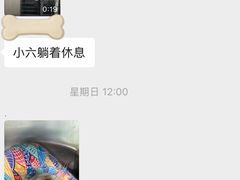 -半岛宠物医院24小时(科华中路店)
