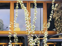 -8PINTS八品脱·日料·烧鸟·精酿小酒馆(莘庄店)
