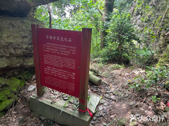 徐福公园图片