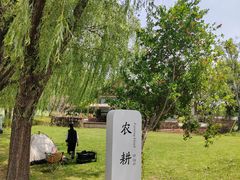 -长兴太湖图影湿地文化园