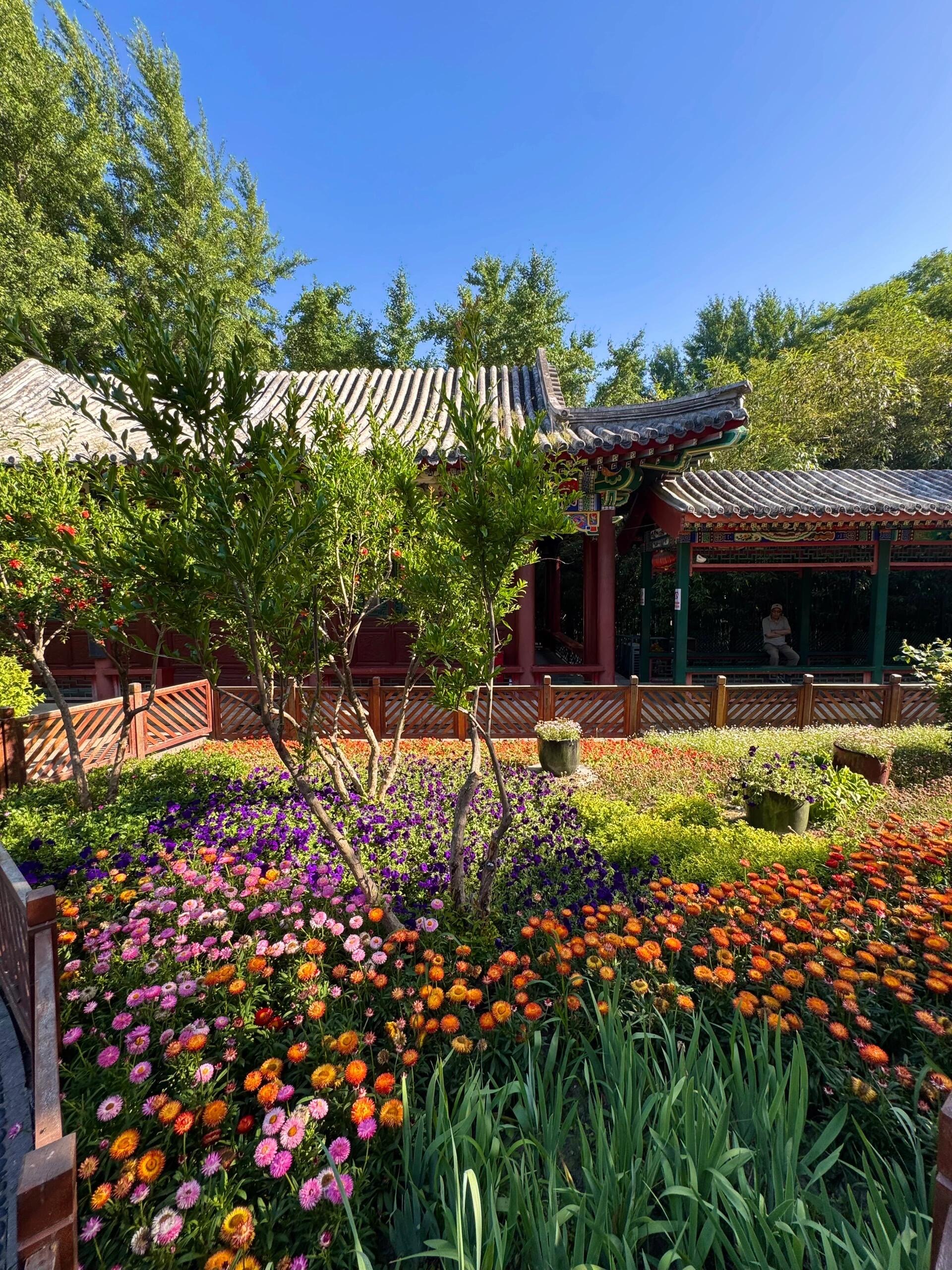 北京牛逼的公园都是免费的