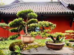 -成都武侯祠博物馆