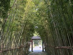 -新荣记(西溪湿地店)