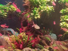 -多彩贵州城极地海洋世界