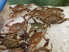 -大连富丽华大酒店·花都西餐厅