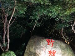 -野狸岛