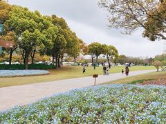 -上海滨江森林公园