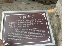 -青岛崂山太清宫