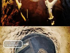 -上海崧泽遗址博物馆