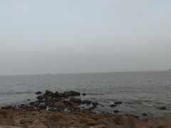 -野狸岛