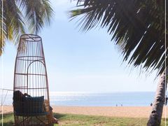 -三亚海棠湾万丽度假酒店