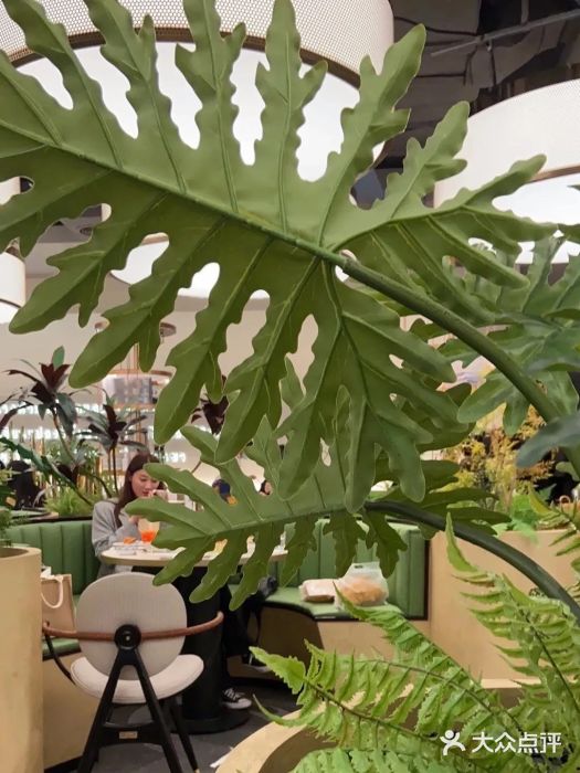 KingThaia金泰兰(滨江天街店)图片