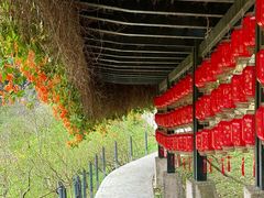 -广州市白云山风景名胜区