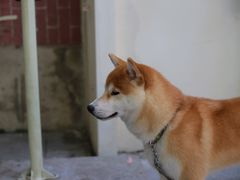 -飞马旅黎黄陂路文旅街区