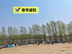 -东郊湿地公园